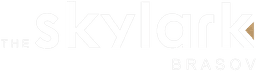 Skylark Brasov Logo
