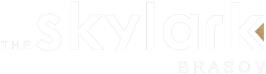 Skylark Brasov Logo